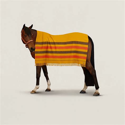 couverture hermes|Maison, plein air et équitation Plaids et coussins .